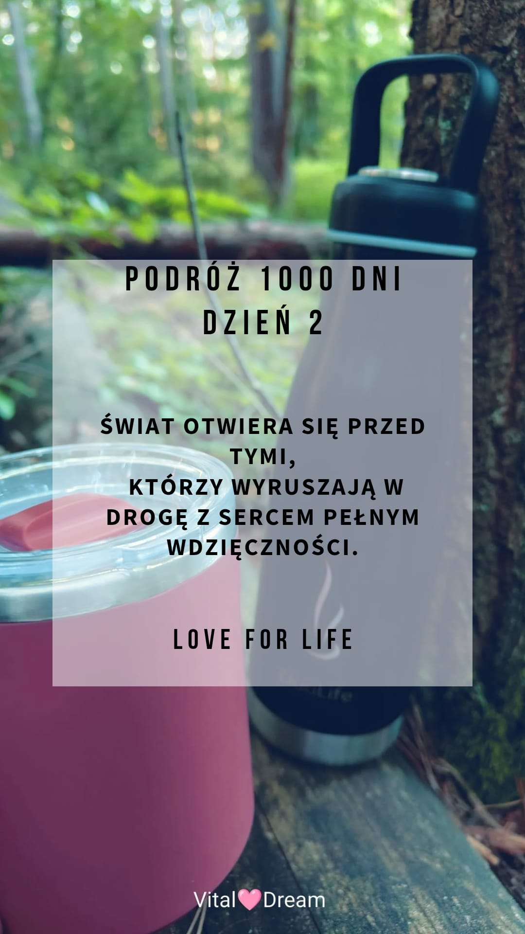 DZIEŃ 2